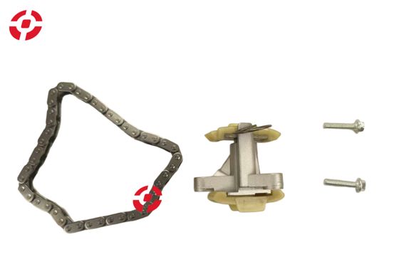 Automotive camshaft chain Camshaft timing chain tensioner for Land Rover Auto Timing Chain and Tensioner OE 1316113 Timing Chain set