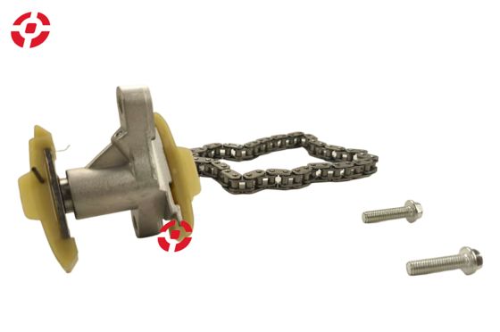 Automotive camshaft chain Camshaft timing chain tensioner for Land Rover Auto Timing Chain and Tensioner OE 1316113 Timing Chain set